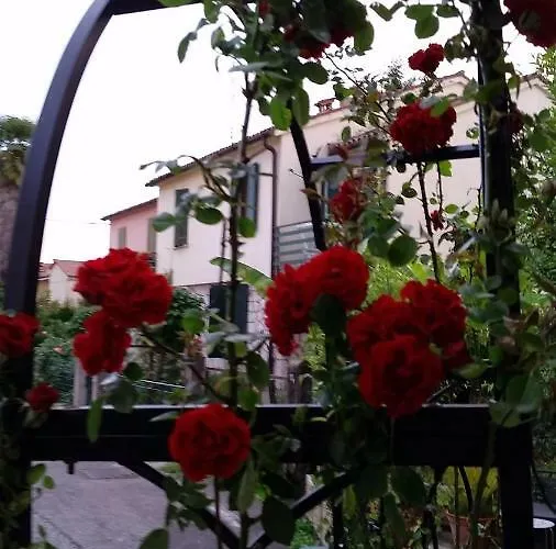 فندق مبيت وإفطار Bboderzo 2*